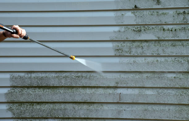 Best Solar Panel Cleaning  in Lake Cherokee, TX